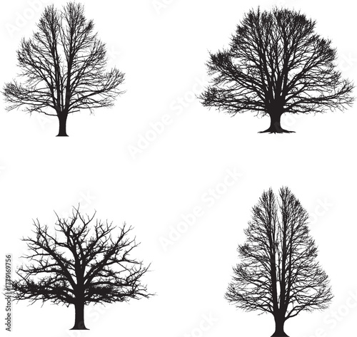 Leafless tree icon set – black silhouette illustrations of winter deciduous trees for nature design, seasonal branding, and artistic visuals.