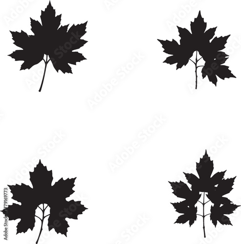 Maple leaf icon set – black silhouette illustrations of diverse leaf shapes and vein patterns for botanical design, seasonal branding, and nature visuals.