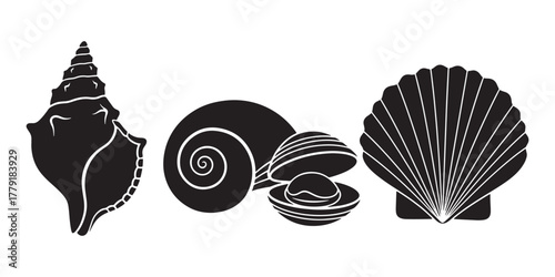 Sea Shell Silhouette Vector Set — Conch, Spiral, Clam, and Scallop Shells
