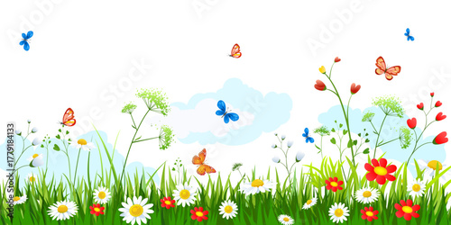 spring meadow with flowers. Summer meadow beautiful.