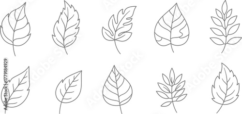 Abstract background design with a dense pattern of simple hand-drawn leaf and foliage outline marks on a transparent background