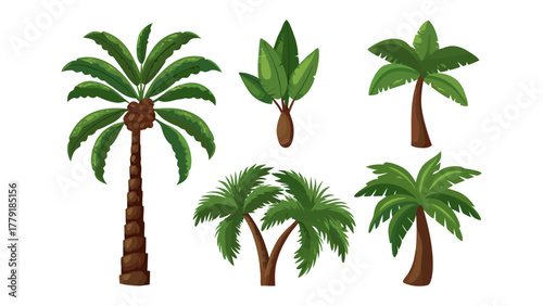 Tropical Foliage Collection: A vibrant assortment of tropical plants and trees, each one displaying a unique texture and form, creating a refreshing botanical palette.