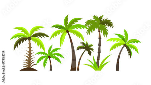 Tropical Flora: A vibrant collection of tropical palm trees of varying sizes and styles is displayed, bringing the spirit of the tropics into the setting.