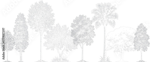 Architectural tree elevation drawing featuring diverse realistic trees. Minimal black and white line art showing natural variety, perfect for poster, banner, web, or digital artwork design use.  
