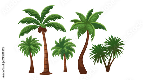 Palm Trees Collection: An illustration of a collection of palm trees featuring variety of species and sizes, ready to evoke tropical vibe.