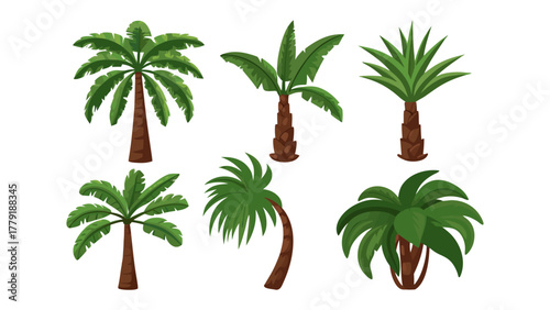 Diverse Palms: A vibrant collection of six distinct palm tree illustrations showcases the beauty of tropical vegetation. Their varied shapes and textures, presented against a clean canvas.