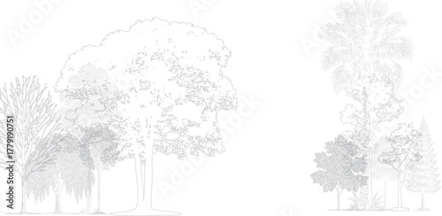 Architectural landscape elevation drawing with detailed tree collection. Realistic black and white line art showing various tropical and deciduous trees in minimal technical style.  
