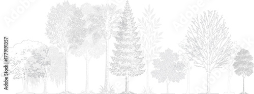 Architectural landscape elevation drawing with detailed tree collection. Realistic black and white line art showing various tropical and deciduous trees in minimal technical style.  

