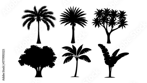 Tropical tree silhouettes: An artistic display showcasing the graceful silhouettes of various tropical trees, perfectly captured against a blank canvas.
