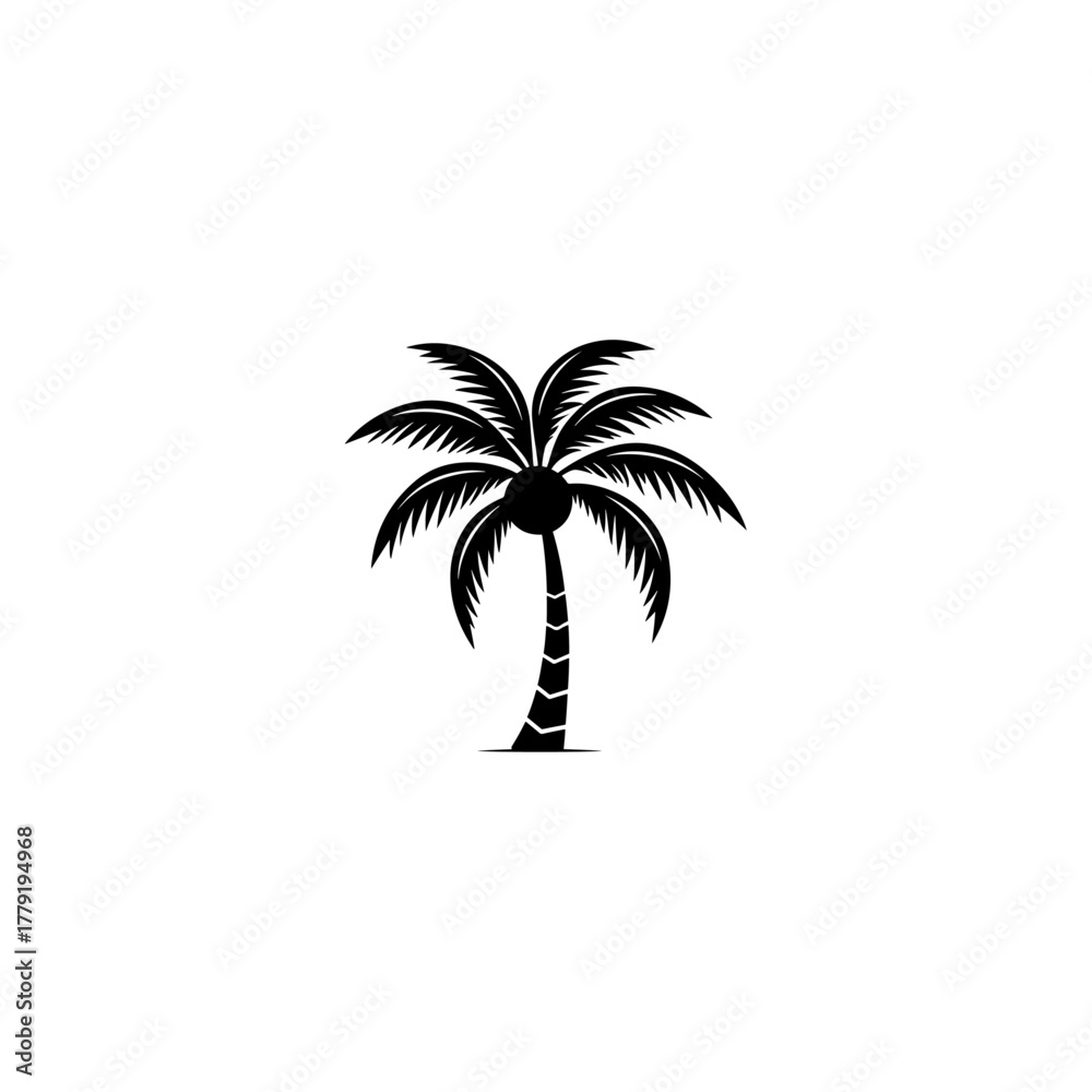 Fototapeta premium Plam tree silhouette
