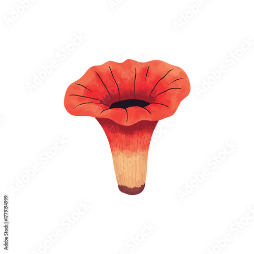 Giant Rafflesia Arnoldii Flower Watercolor Illustration