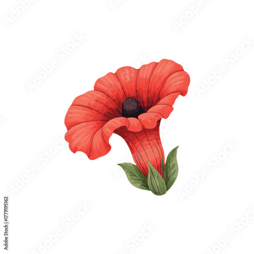 Giant Rafflesia Arnoldii Flower Watercolor Illustration