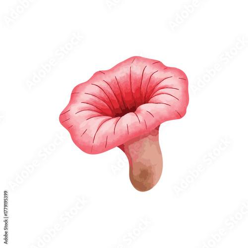 Giant Rafflesia Arnoldii Flower Watercolor Illustration