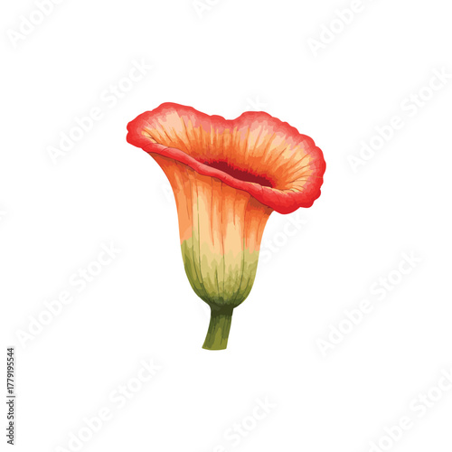 Giant Rafflesia Arnoldii Flower Watercolor Illustration