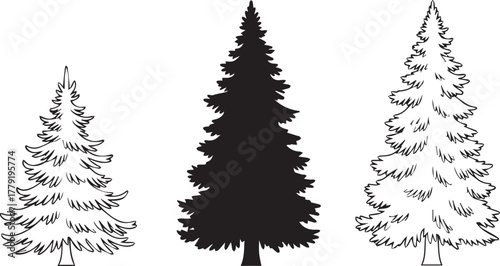 Three stylized evergreen trees in silhouette and outline on a white background
