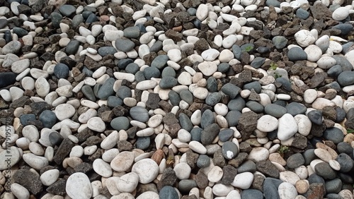 Close-up texture of grey gravel with scattered dry and green leaves. Rustic outdoor detail