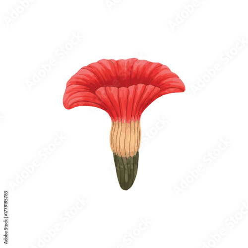 Giant Rafflesia Arnoldii Flower Watercolor Illustration