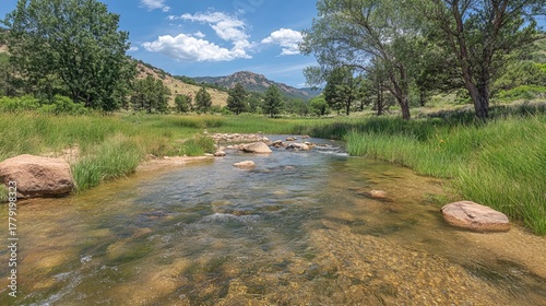 Clear river flows through a grassy field with scattered rocks and trees under a blue sky with scattered clouds.