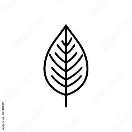 Black outline leaf vector illustration for botanical design and nature related graphic projects and templates