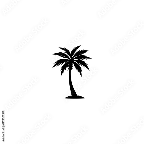 Palm tree icon. Black coconut silhouette palm isolated on white background. Coconuts palm tree for design summer prints. Palmetto trees. 