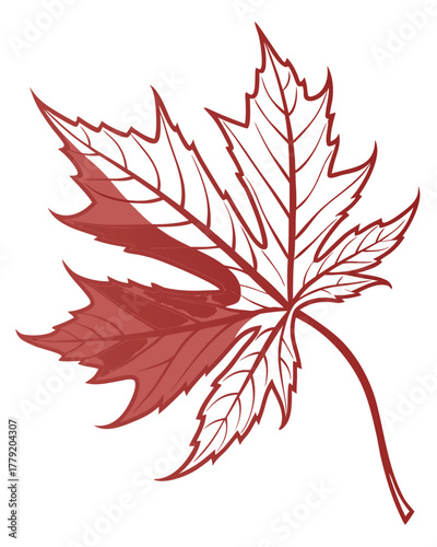 Red Maple Leaf Vector Illustration – Autumn Fall Season Symbol Isolated on White Background