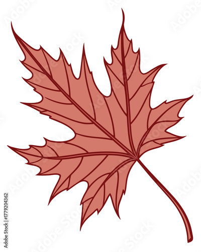 Red Maple Leaf Vector Illustration – Autumn Fall Season Symbol Isolated on White Background