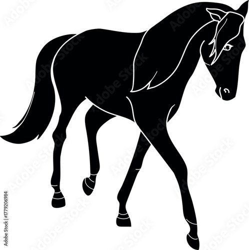Black silhouette of a horse walking forwar isolated on white background
