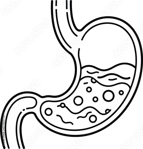 Human Stomach Icon With Gas Bubbles Illustration Digestive Tract System