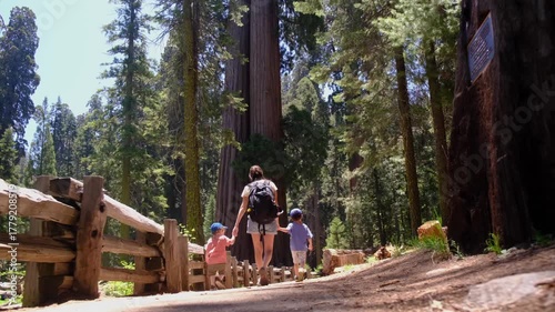 Family enjoying summer hiking trip through giant redwood forest in mariposa grove, yosemite national park, parents exploring nature with children, exploring sequoia national forest