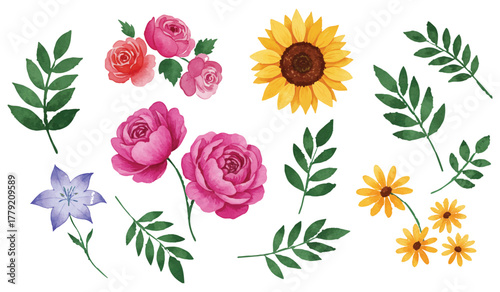 Vibrant watercolor floral collection featuring hand-painted roses, sunflowers, and bellflowers. An isolated set of botanical plant elements for decorative design and creative projects.