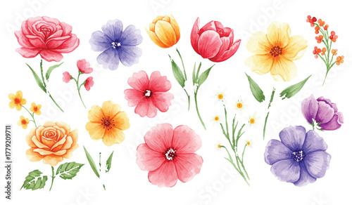 Captivating Watercolor Flower Collection for Creative Design A Charming Array of Hand-Painted Blooms, Infusing Artistic Projects with the Serene Beauty of Nature's Colorful Palette.