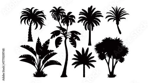 Tropical Foliage Silhouettes: Diverse collection of intricate silhouettes of tropical foliage, showcasing the graceful forms of palm trees, adding a touch of exotic allure.