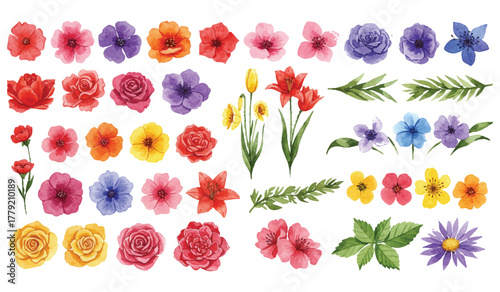 Vibrant Watercolor Collection of Diverse Floral Elements and Botanical Illustrations, Perfect for Spring and Summer Designs