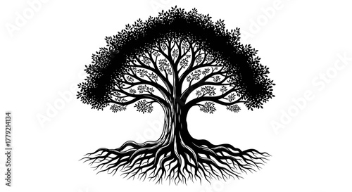 Detailed black and white illustration of a tree with intricate roots and branches.