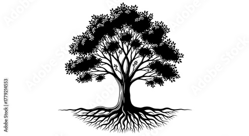 Black and white illustration of a tree with intricate roots and a full canopy of leaves.