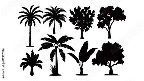 Silhouette of Diverse Tree Species: A collection of various trees, captured in silhouette, showcasing the distinct characteristics of different species with a simple aesthetic. 
