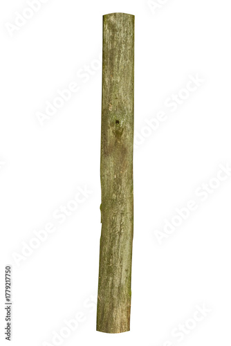 Vertical old wooden pole with natural surface is isolated.