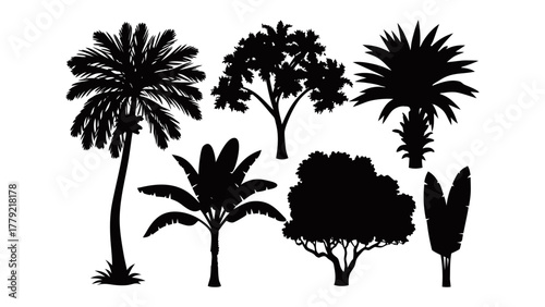 Silhouette of Diverse Tree: A collection of assorted tree silhouettes, each with its unique shape and form, offering a minimalist yet striking representation of nature's diverse botanical wonders.