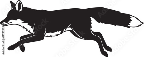 Fox running isolated on white background in black and white style