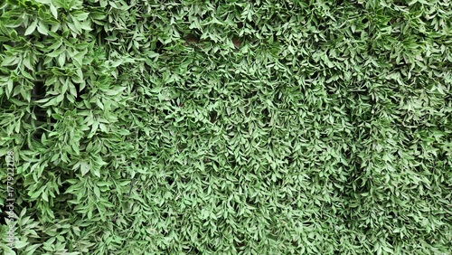 Artificial plant wall, artificial plant art wall, simple artificial plant wall, artificial plant wall background, simple background