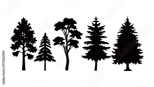 Silhouette Trees: A collection of various tree silhouettes, perfect for nature-themed projects. Capturing the simplicity and elegance of these timeless natural forms.