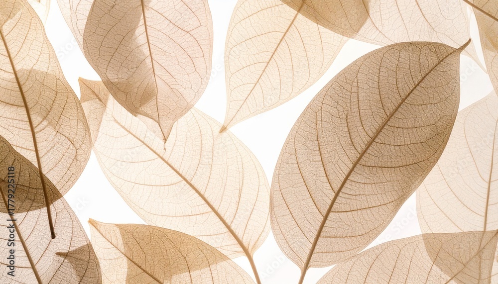 Obraz premium Stylized natural contours resembling leaf veins
