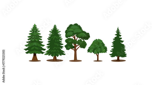 Variety of Trees in Nature: A collection of diverse tree specimens stands in a row, each exhibiting unique features like needle-like leaves, lush canopy, and sturdy trunks.
