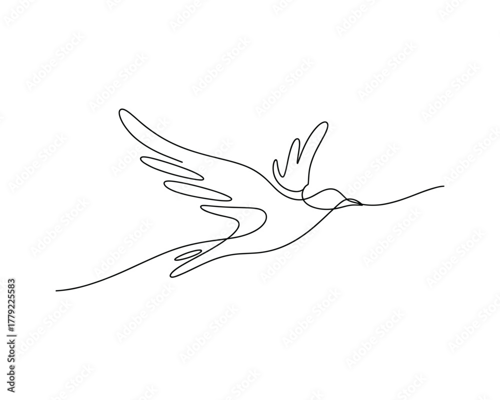 Obraz premium Bird flying with wings spread vector Black line art