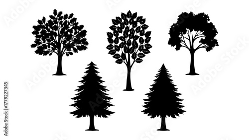 Silhouette of Nature's diversity: A collection of various tree silhouettes, capturing the elegant forms of nature's varied arboreal life.