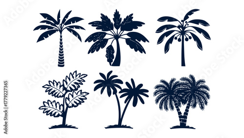 Palm Tree Silhouette Collection: A diverse compilation of intricate silhouettes depicting the grace of palm tree, suitable for design concepts.