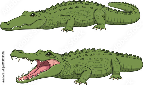 Cartoon crocodile set with calm and aggressive expressions, vector illustration for wildlife behavior and reptile anatomy concept