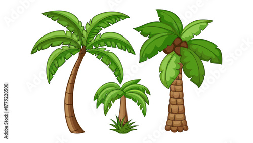 Tropical Palm Tree Trio: Illustrative collection of three different palm trees with lush green fronds and brown trunks, symbolizing tropical flora.