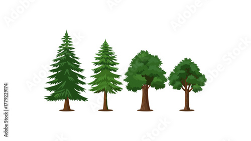 Evergreen Collection: An array of diverse evergreen trees stands tall against the bright sky, a celebration of nature's beauty and resilience, evoking a sense of calm and admiration.