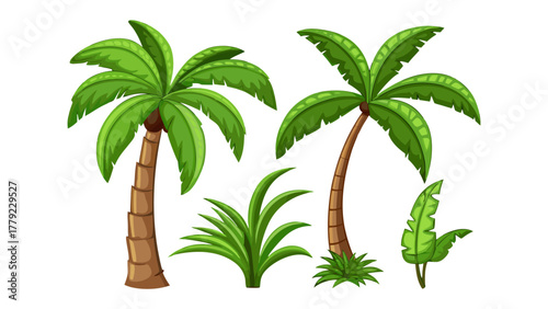 Tropical Palm Paradise: Lush green palms and vibrant foliage create a tranquil, tropical scene. A symphony of nature's beauty